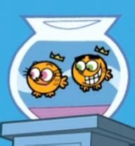 fairly oddparents fish tank|Cosmo and Wanda's Fishbowl .